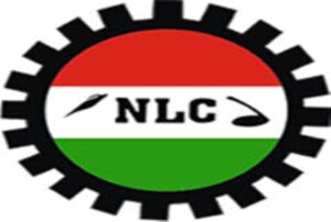 NLC Tasks FG To Implement Electricity Traffic Reduction Agreement by Year-end