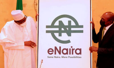 What You Should Know About eNaira Platform