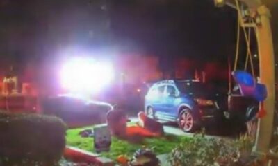 Doorbell Camera Records California Woman Giving Birth on Lawn