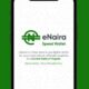 eNaira Speed Wallet App Hits Over 360,000 Downloads