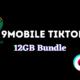 9mobile Pleasures Customers with Special TikTok Data Plans