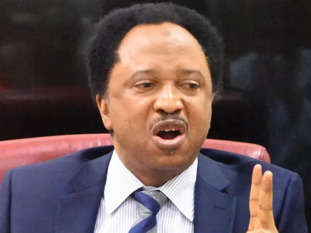 Nigerians will soon beg FG to leave them in poverty - Shehu Sani