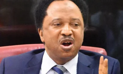 Nigerians will soon beg FG to leave them in poverty - Shehu Sani