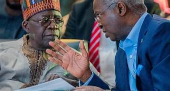 I don’t need any title to serve in Tinubu’s administration — Fashola