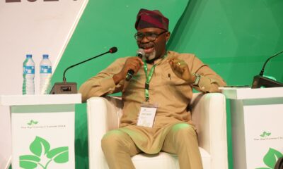Dr. Ayoola Oduntan, Group Managing Director, Amo Farm Sieberer Hatchery Limited at the Agriconnect Summit 2024.