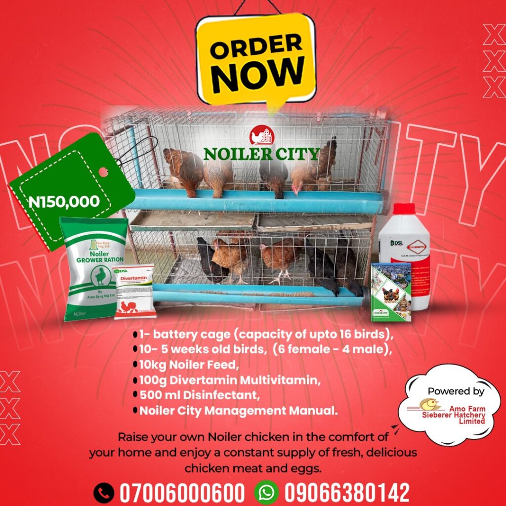 Amo farm noiler city