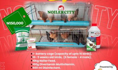 Amo farm noiler city